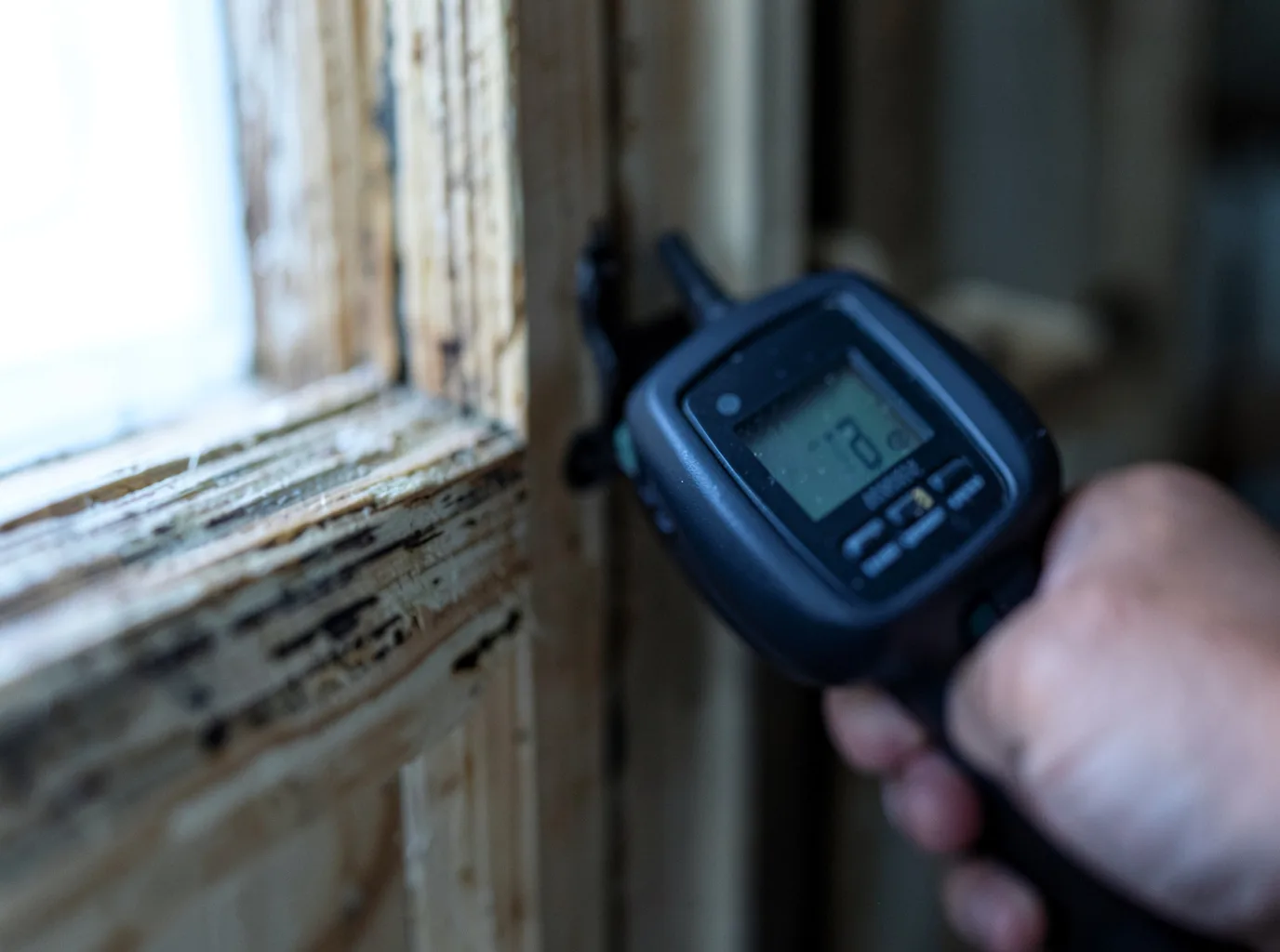 Moisture Inspection And Documentation in Garrett, IN